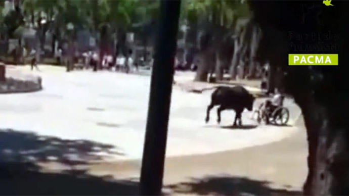 Mad, bad & dangerous: Bull escapes arena in Spain, injures 11 (VIDEO)