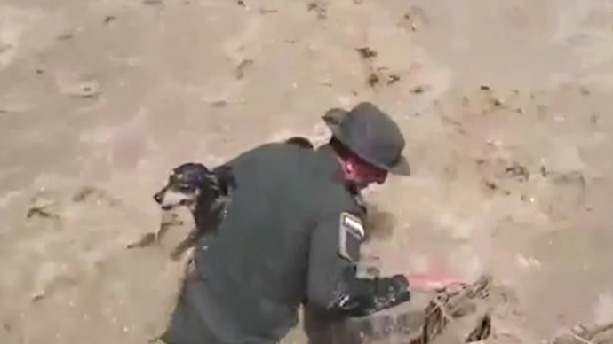 Bark to life: Colombian cops rescue dog from mudslide, perform mouth-to-mouth (VIDEO)