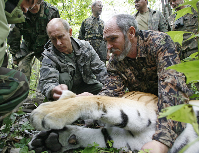 ARCHIVE PHOTO: Vladimir Putin (L) and Senior Researcher of the Ecology and Evolution Problems Institute of the Russian Academy of Sciences Viktor Lukaretsky looking over a five year-old tigress, temporarily immobilized by scientists, during a visit to the Ussuri Reserve in the Far East. (RIA Novosti / Alexei Druzhinin) 