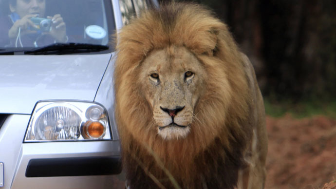 American woman killed by lion in S. Africa identified as 'Game of Thrones' editor