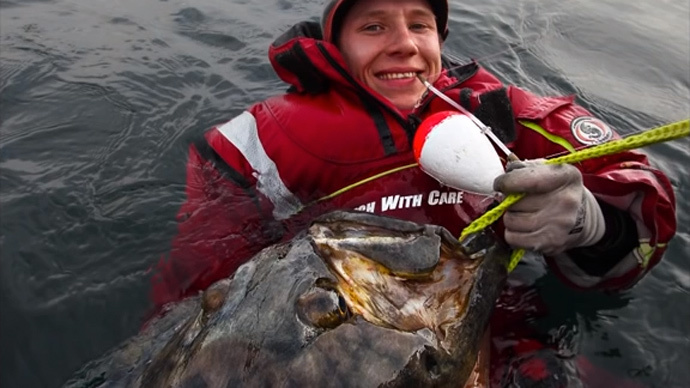 ‘It was too big to fit in the boat’: Swedish angler catches giant halibut (VIDEO)