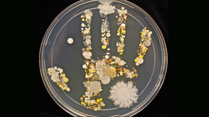 Bacteria nasty: Photo shows what germs on your hand actually look like