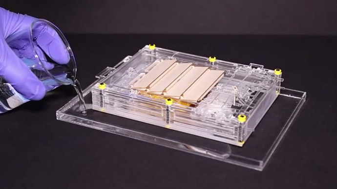 Bioengineers invent engine powered by water vapor, artificial muscles