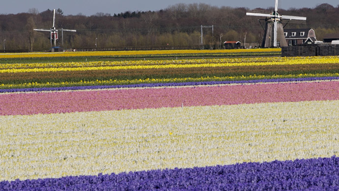 Russia considers banning chocolate and flowers from EU - food safety watchdog