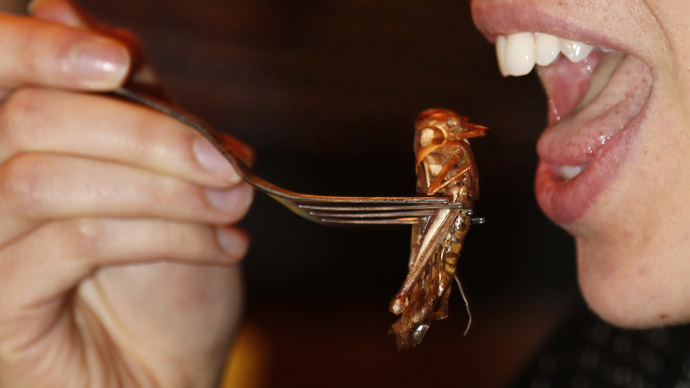​Bug burger anyone? Insect-based grub could hit Swiss groceries next year