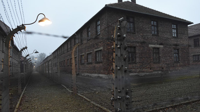 Polish police detain British teens for stealing Auschwitz artifacts