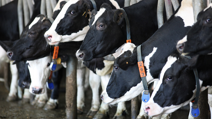 China to build giant dairy farm to supply Russia