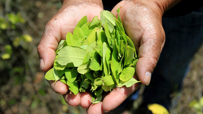 Pope Francis to chew coca leaves during visit to Bolivia – minister