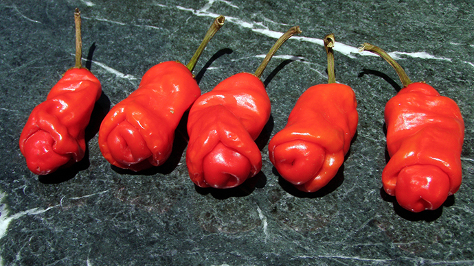 Penis peppers: Erotically-shaped fruit, veggie ‘rude seeds’ grip Barcelona