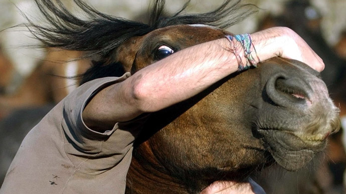 Forget bulls, Spaniards wrestle horses for fun too (VIDEO)