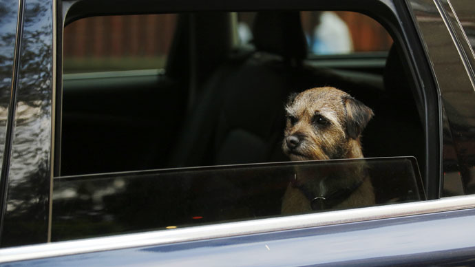 Tennessee legalizes breaking into cars to save pets