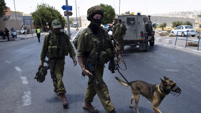 ‘Counter to basic human morality’: Rights group slams IDF commander for killing Palestinian