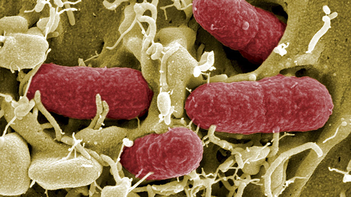 Scientists genetically modify bacteria to detect & treat intestinal diseases, incl cancer