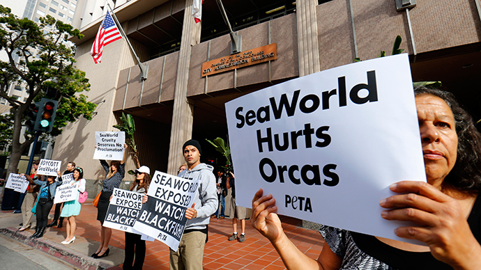 Agent provocateur? PETA claims SeaWorld employee infiltrated protests