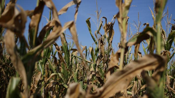 Global food prices rise due to extreme weather