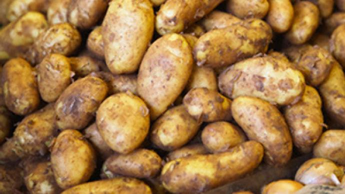 Potato shortage to stem from drought