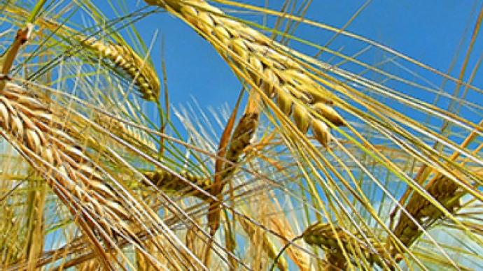 Russia to expand on global grain market