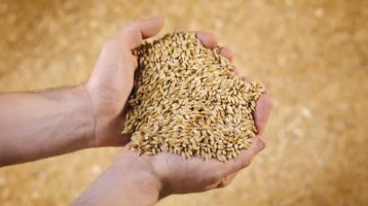 Russia's July grain exports second highest in history