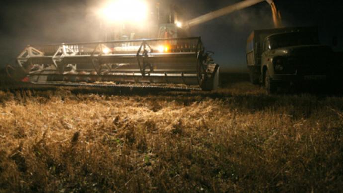 Russia's grain production up pushing prices down