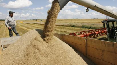 Russia expands grain market intervention