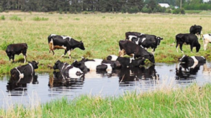 Russia to boost livestock exports 