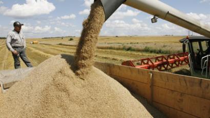Russian wheat price reaches historic highs
