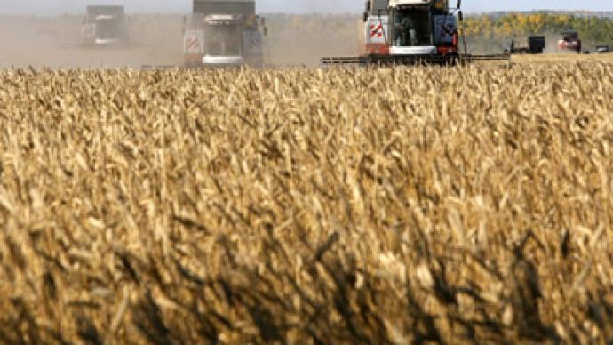 Russian wheat price reaches historic highs