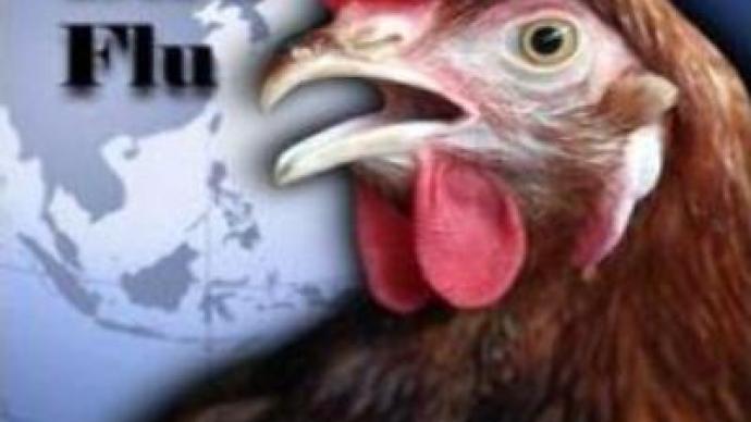 Bird flu death toll in Indonesia rises to 74