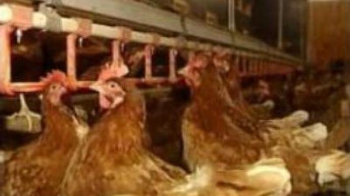 Bird Flu outbreaks in GB and Japan