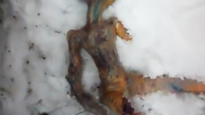 Siberian “Dead alien” fake