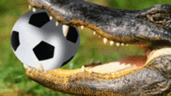 Footballer falls victim to crocodiles