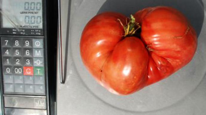 Bearing fruit, literally: Giant tomato wins farmer a car