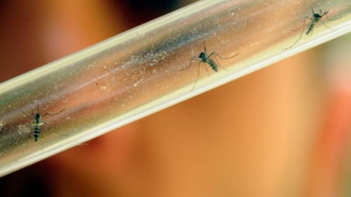 Scores at risk as new breed of mosquito foils malaria prevention methods