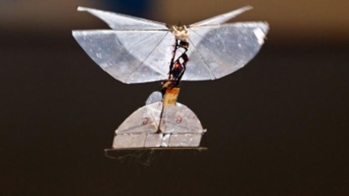 Spy-Butterfly: Israel developing insect drone for indoor surveillance