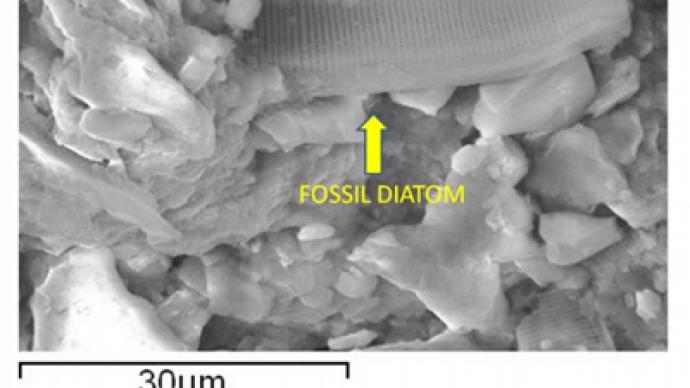 Rock solid proof of alien life? Scientists claim fossilized algae inside meteorite