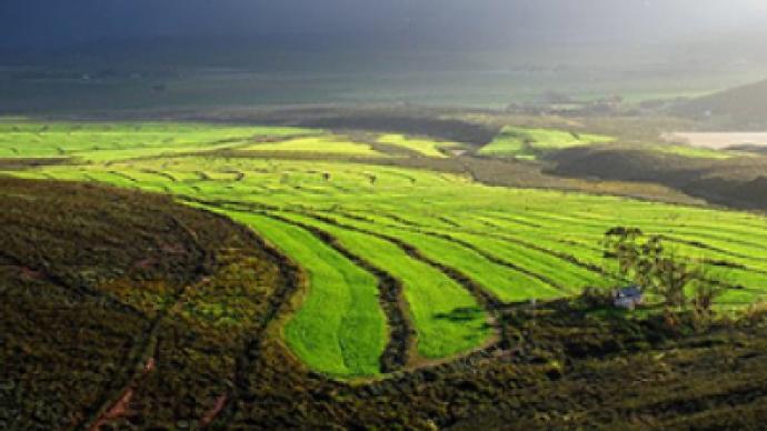 Migration to South Africa— is it a dream?