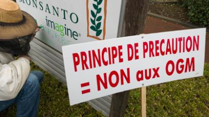 Seeds of doubt: Brazilian farmers sue Monsanto