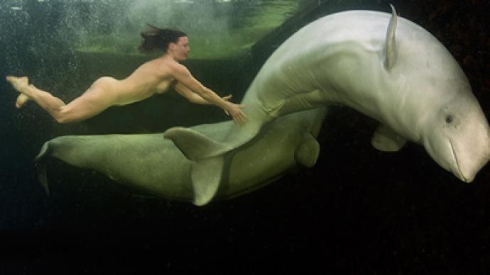Beluga bliss – icy 10-minute dip naked with whales
