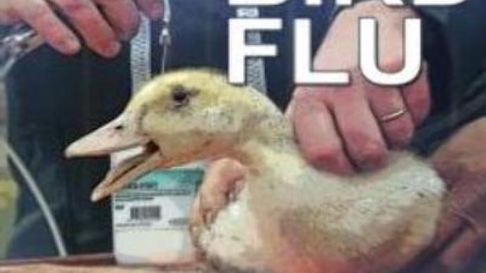 New bird flu outbreak registered in Turkey