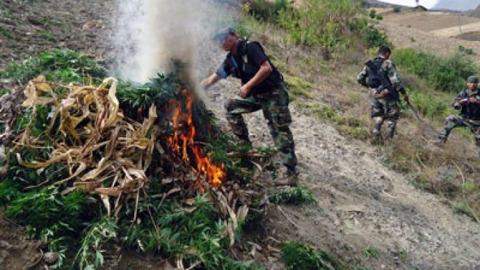 $15 million up in smoke: Peruvian police burn record 50 tons of marijuana