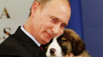 Putin seeks citizens’ help in choosing puppy’s name