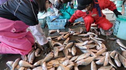 ‘Fukushima fish ends in garbage’: Radioactive fears blight Japan’s seafood industry