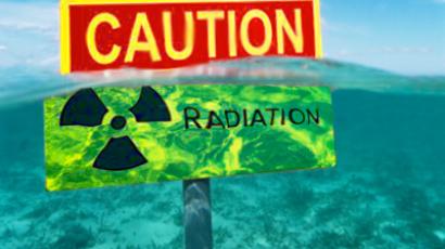 Russia ready to dispatch radiation processing vessel to Japan 