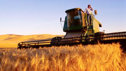 Russia's grain production up pushing prices down