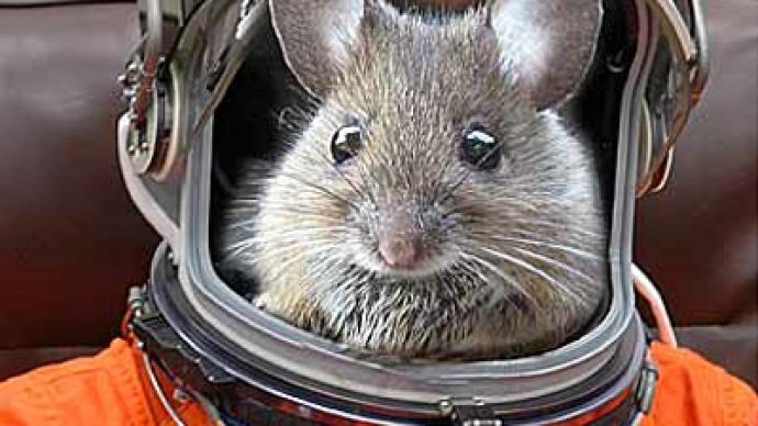Russian rodents pave way for mission to Mars