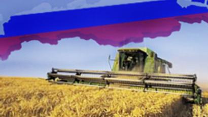 Russia considering restrictions on grain exports