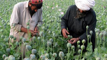 Afghanistan stores 40,000 tons of opiates – Russia’s drug watchdog