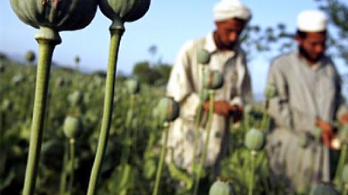 Russia lashes out at NATO for not fighting Afghan drug production