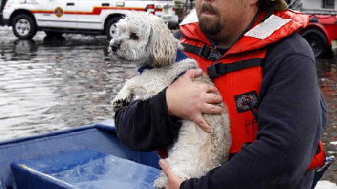 Hurricane Sandy leaves thousands of pets in need