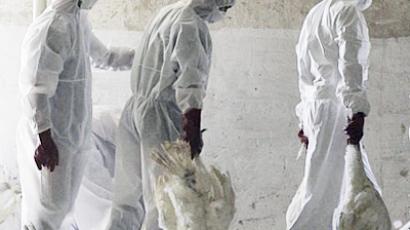 ‘Hard to track, hard to stop’: Unusual bird flu strain kills 4 people in China